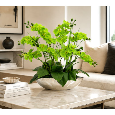 8 Stems Real Touch Phalaenopsis Orchid Arrangement