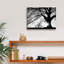 «Oak Silhouette» par PhotoINC Studio-526052630
