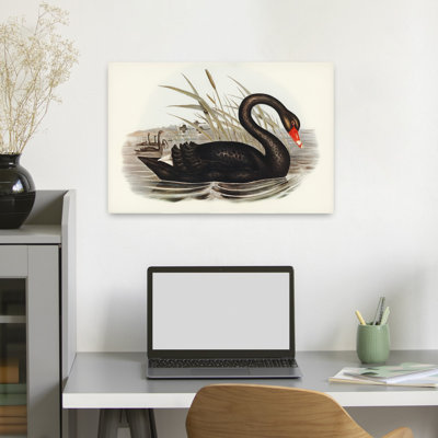 Black Swan Vintage Book Contemporary Bird Animal Art