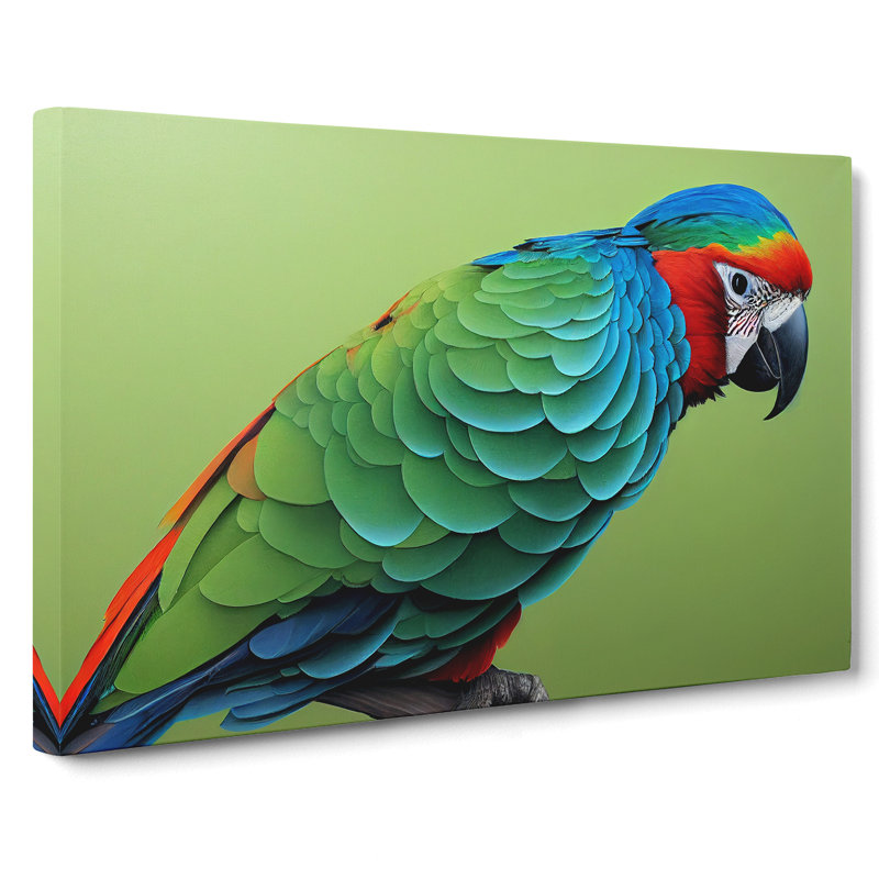 Colourful Parrot Vol.1 - Wrapped Canvas, 35cm H x 50cm W x 3cm D