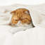 Couvertures douillettes et douillettes pour lit, canapé, canapé, voyage, camping-105628033-105628043