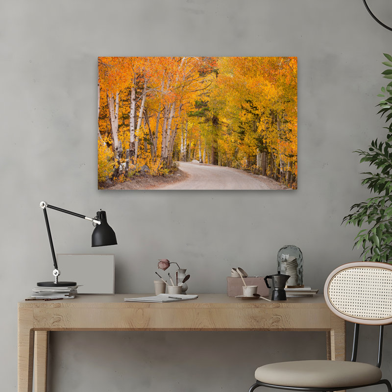 The Golden Road - Paysages, photographie, arbres d'automne, art, H 24 po x l 16 po