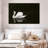 Brampt White Swan Elegance-108712440