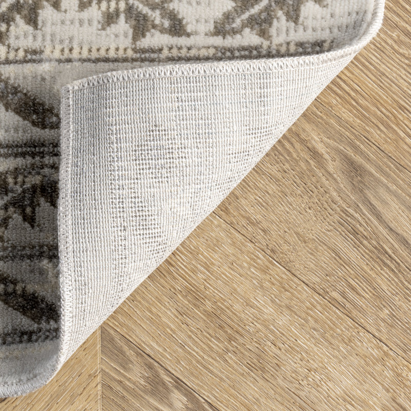 Beige sud-ouest Tapis décoratif, Rectangle 4 pi x 6 pi