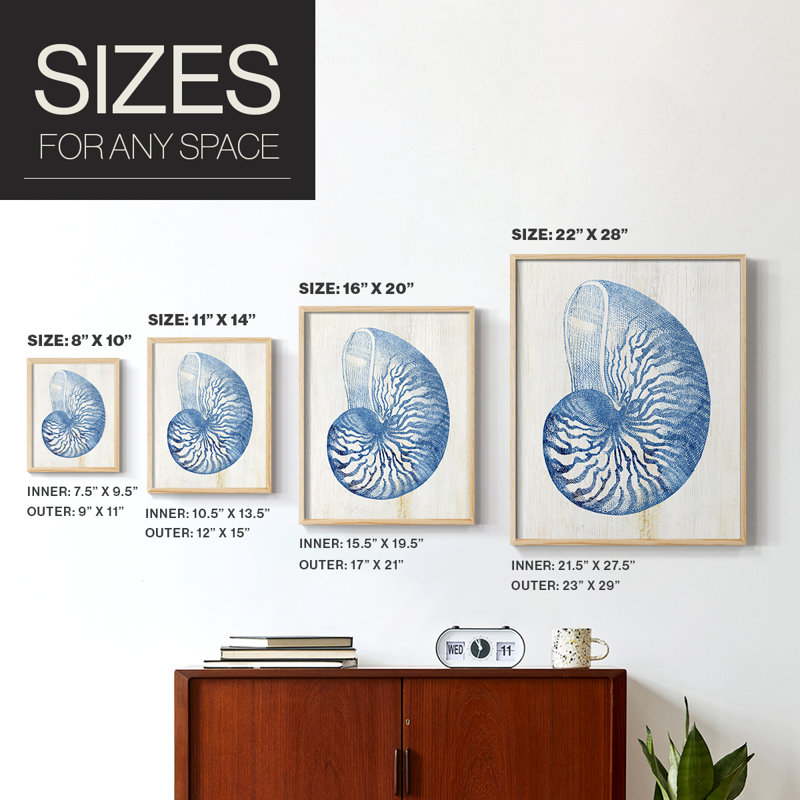 Reproduction encadrée Shell IV - bois massif, Naturel, H 11 po x l 9 po