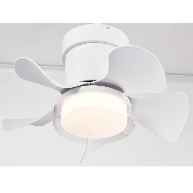 Junilla 21'' Ceiling Fan with LED Lights