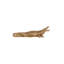 Crocodile Decor Object