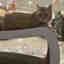 Customer photo 3 of 3
