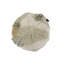 Pouf en coton Cotton Woods Mossy Rock