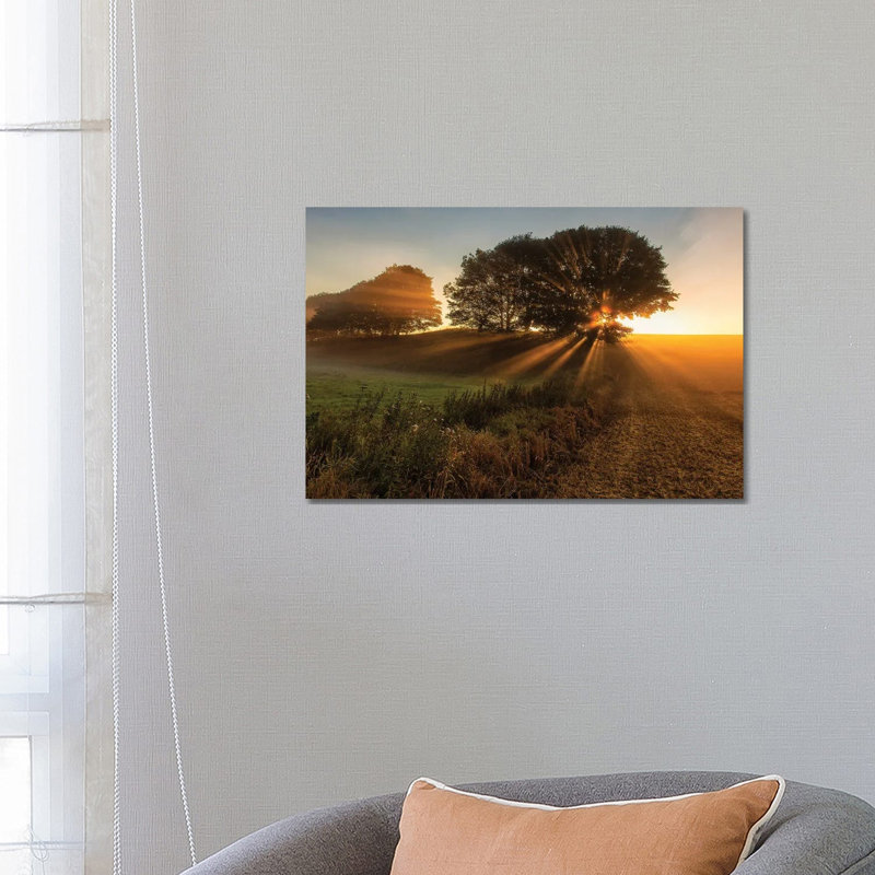 Sunbeams by Leif Londal - Wrapped Canvas Print, 45.72cm H x 66.04cm W x 1.905cm D