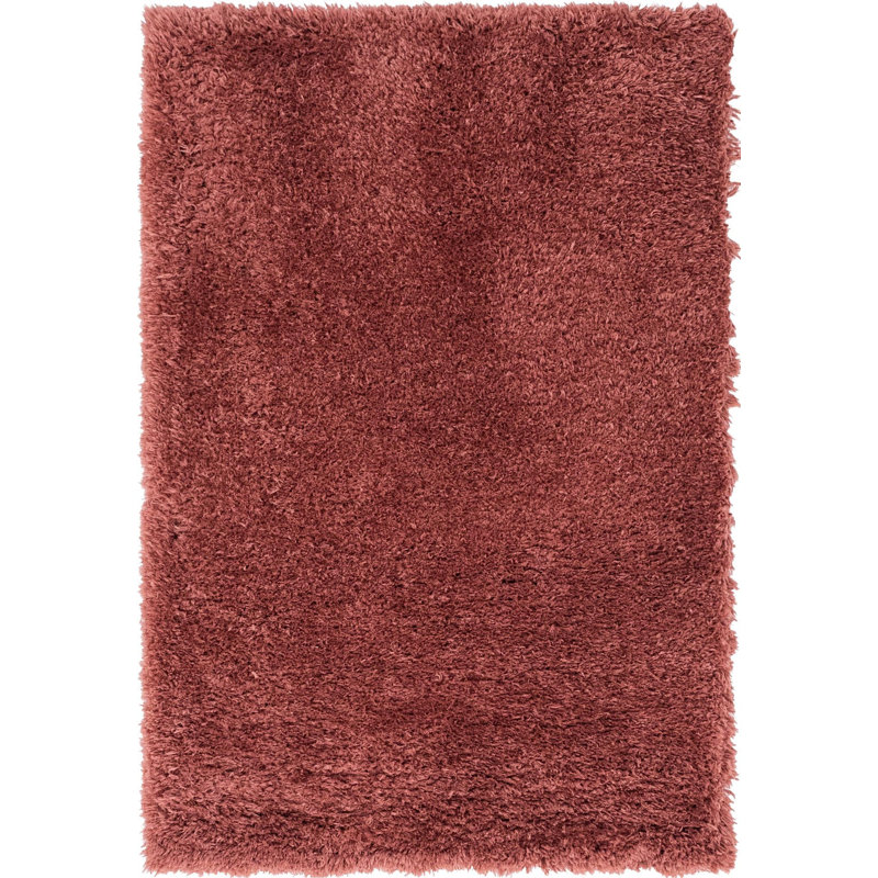 Indoor Rug, Rectangle 4' x 6'