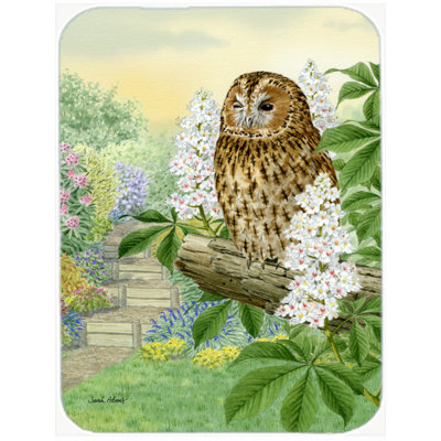 Caroline's Treasures Tawny Owl Glass Cutting Board