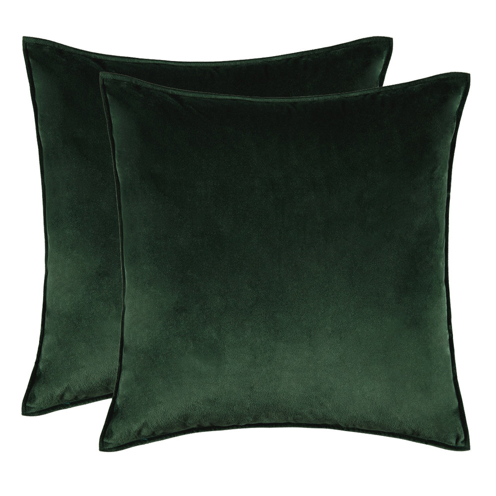 Velvet Throw Pillow (Set of 2) WARISI