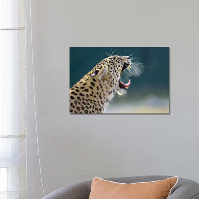 Smoking Leopard by Goran Anastasovski - Wrapped Canvas Print