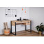 Francisque Metal Base Writing Desk