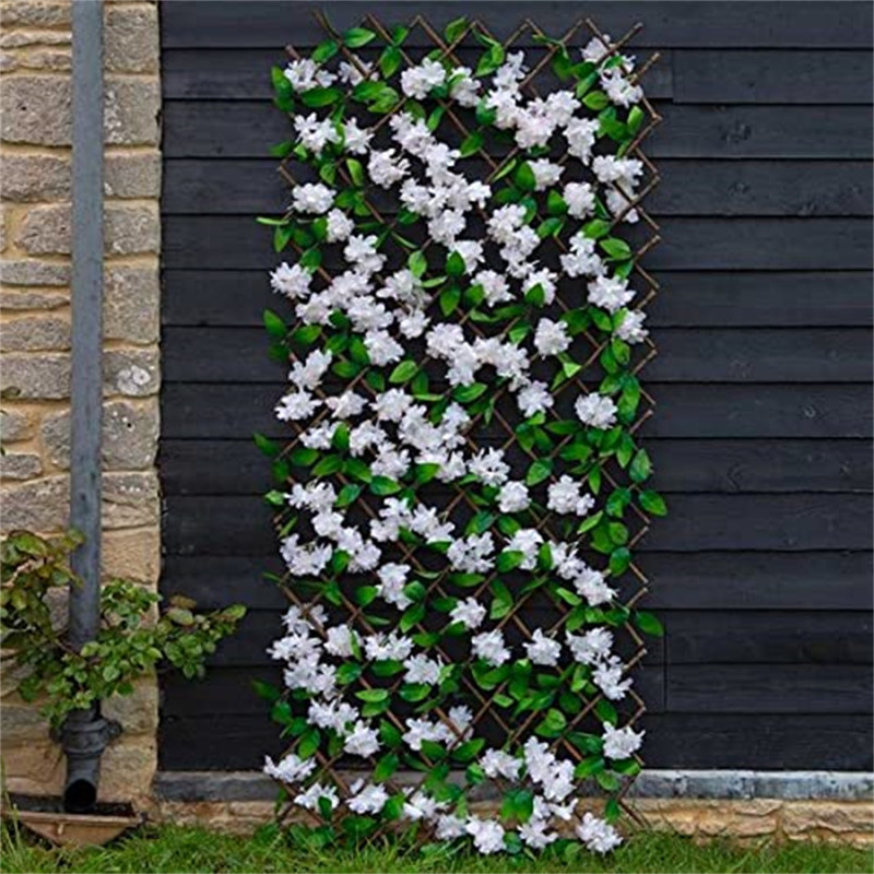 Nolin 180cm H x 60cm W Wood Expanding Trellis, 180cm H x 60cm W