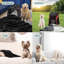 Coussins Katziela-96064458-96064461