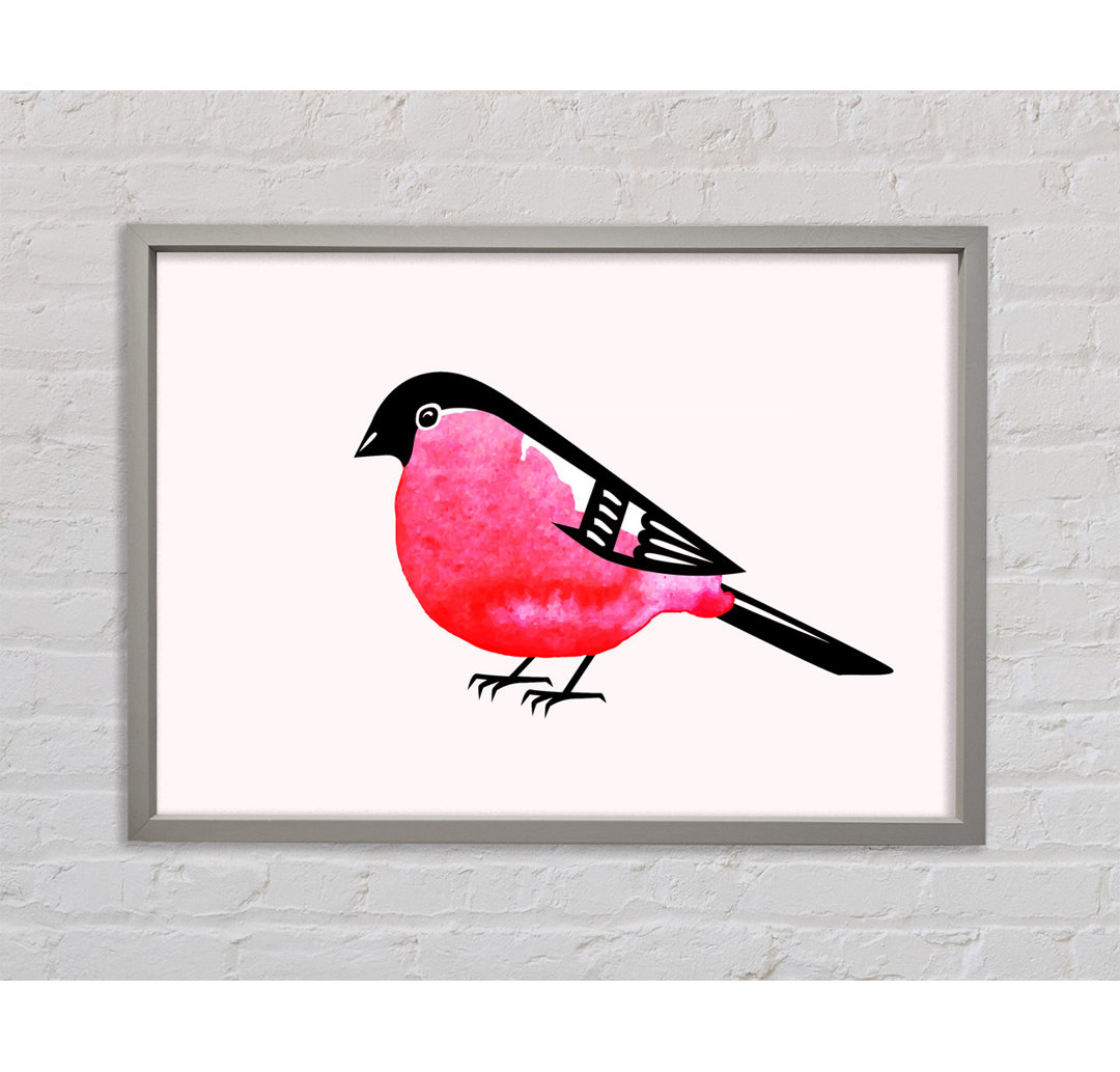 Gerahmtes Bild Pink Robin Breast