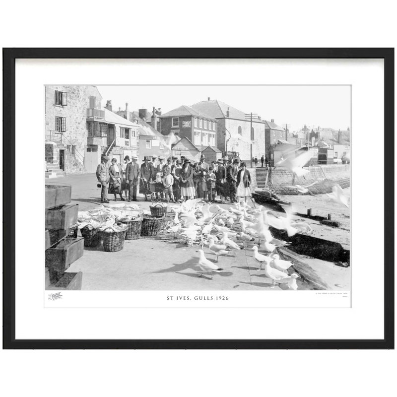 St Ives, Gulls 1926 by Francis Frith - Single Picture Frame Print, 28cm H x 36cm W x 2.3cm D