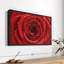 Floral et botanique «Rose rouge humide», art mural-101779687