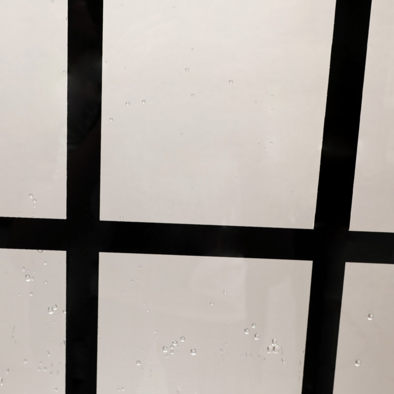 Frameless Shower Door with Glass