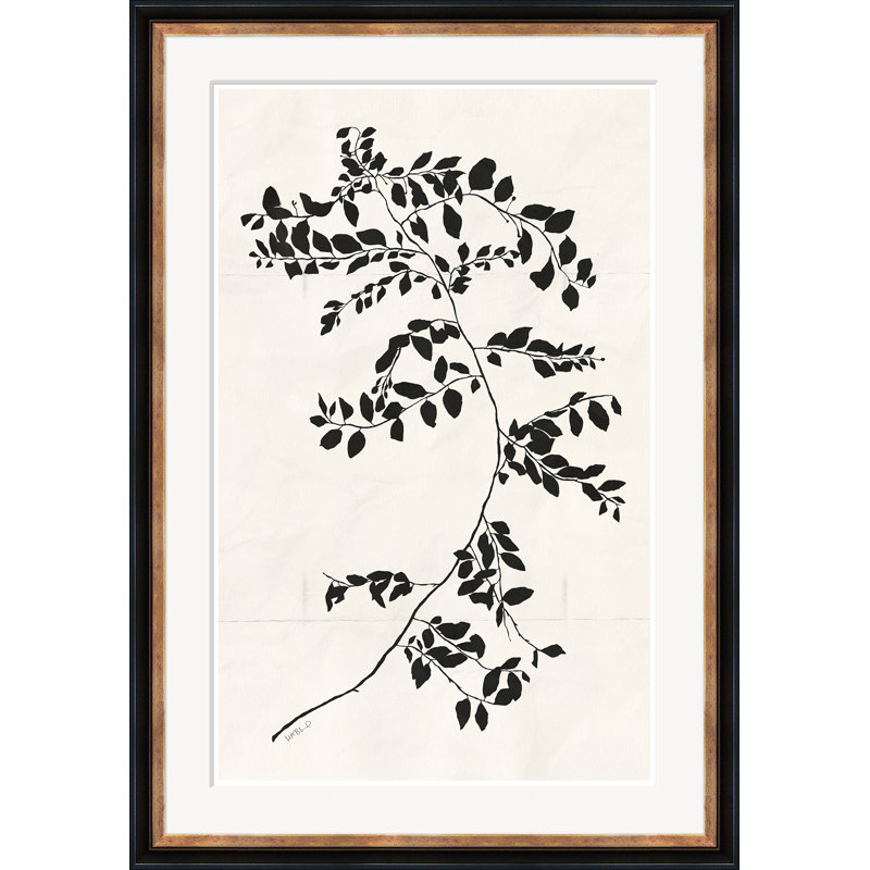 Clematis Vine I