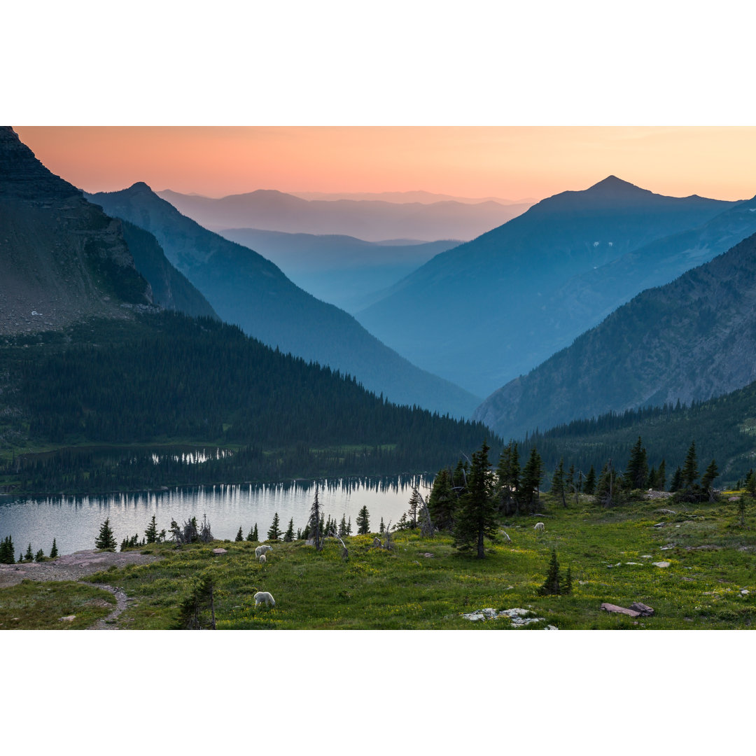 Glacier National Park, Hidden Lake by Bill Vorasate - Wrapped Canvas Print