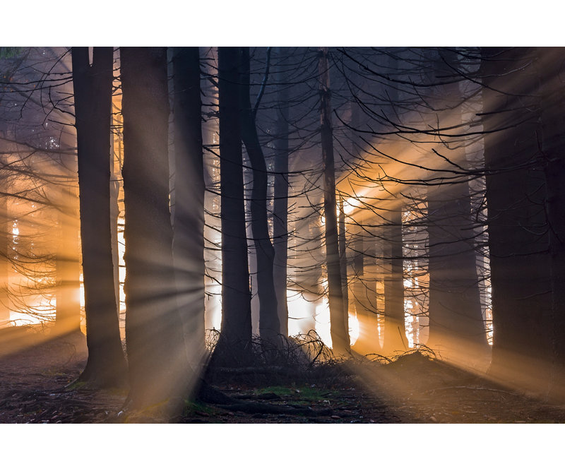 Wrapped Canvas Print, 60.96 cm H x 91.44 cm W