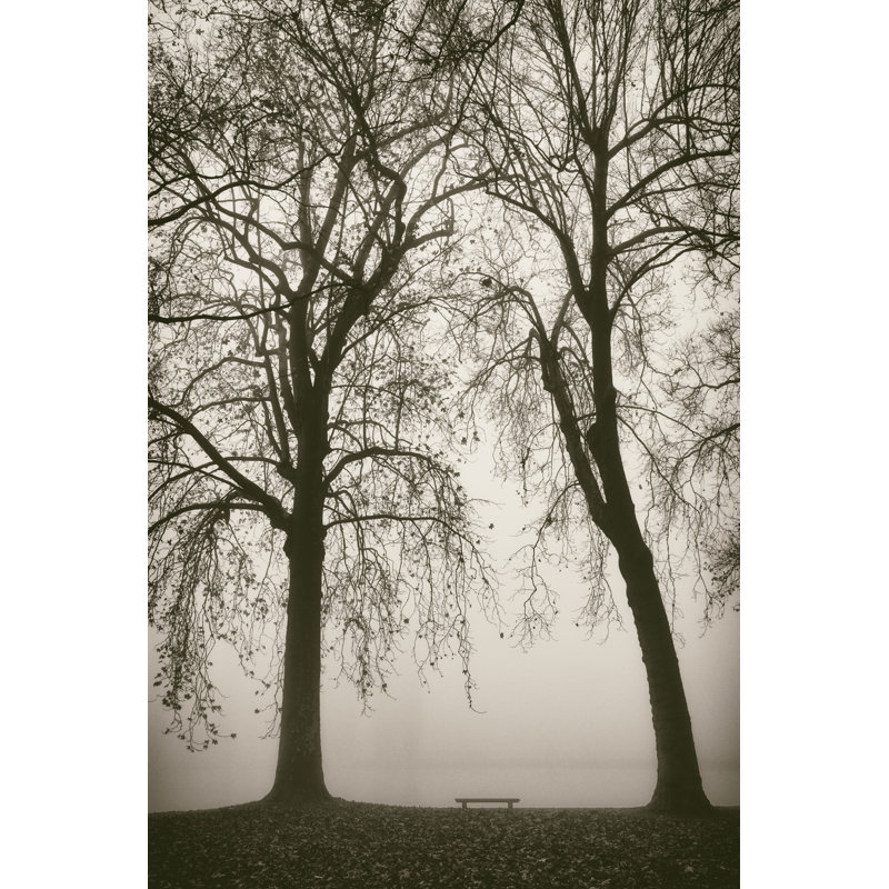 Trees in Fog II by Jody Stuart - Photograph Print, 30cm H x 20cm W, Wrapped Canvas