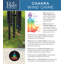 Carillon chakra