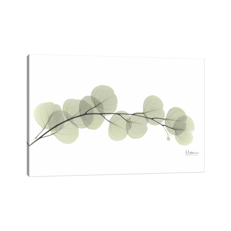 Eucalyptus by Albert Koetsier - Print on Canvas, Wrapped Canvas, 20.32 cm H x 30.48 cm W