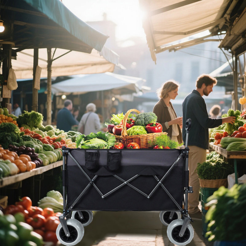 Folding Wagon Cart