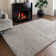 Taiwo Shaggy Silver Area Rug