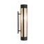 Ananya 1 - Light Flush Mounted Sconce