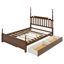 Structure de grand lit avec lit gigogne et 2 tiroirs de rangement-1284109104