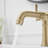 2-handle Bathroom Faucet with Drain Assembly-105190011