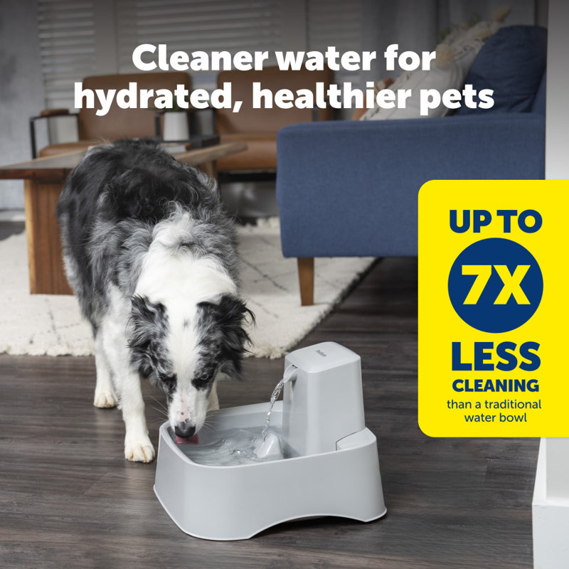PetSafe Oasys 2 Gallon Pet Fountain, 256 oz