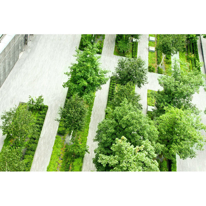 Urban Park - Photographie sur toile tendue, H 8 po x l 12 po