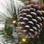 The Holiday Aisle® 24" Whitter Pine Wreath with LED Lights