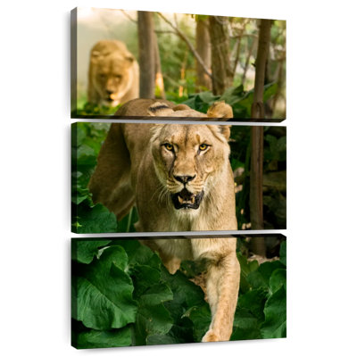 Brampt Hunting Lioness