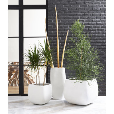 Jardinière amorphe