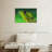Exotic Lizard-107944052