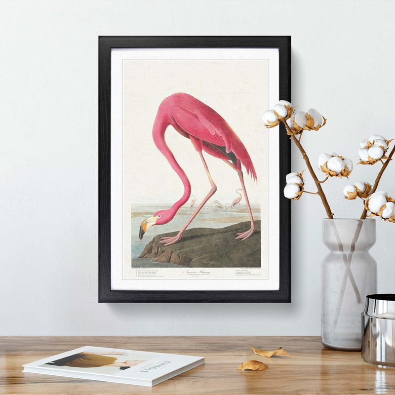 Pink Flamingo by John Audubon - Picture Frame Painting Print on MDF, Black Framed, 65cm H x 48cm W x 2cm D