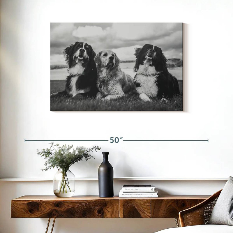 Brampt Bernese Mountain Dogs, 24" H x 36" W
