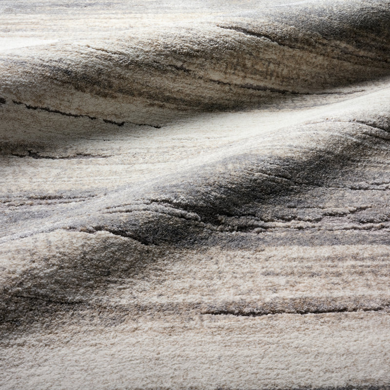 Tapis d'intérieur brun clair / gris Quashanna, Rectangle 9 pi 3 po x 13 pi