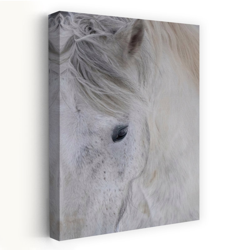 Art contemporain abstrait cheval blanc, 48" H x 32" W