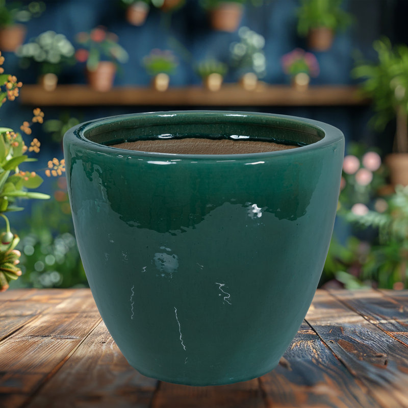 Pot de fleurs d'extérieur rond en céramique Caydin - vert foncé - 14,5 po, Vert foncé, H 11,25 po x l 14,5 po x P 14,5 po