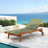 Outdoor Chaise Lounge-101358480-101358495