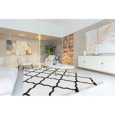 Jemnice Geometric Shag Area Rug