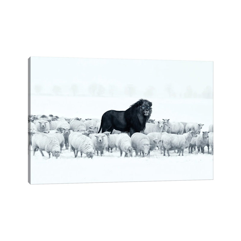 Lion parmi les moutons - Giclée sur toile tendue avec châssis, H 40 po x l 60 po